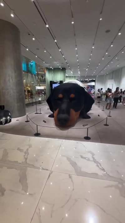 South Korea's giant dachshund sculpture, nicknamed Sunshine, is a hyperrealistic, breathing art installation
