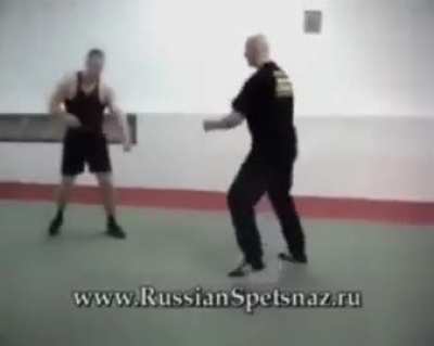 Systema 