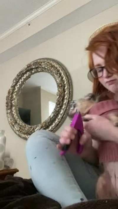She really hates having her nails clipped