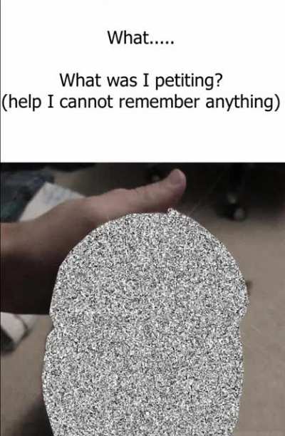 Rule