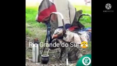 Gostaram? 😘