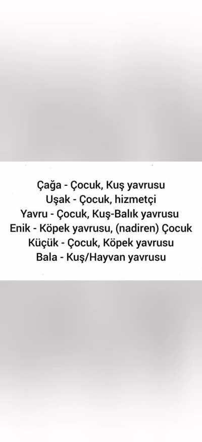 Çocuk sözcüğüne karşı çıkan zat-ı şerife yanıt