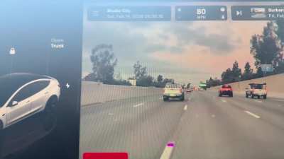 Coyote Running Across Highway (HD)