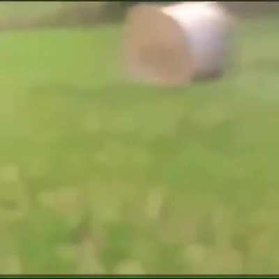 Jumping over rolling hay