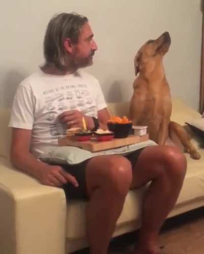 good boy