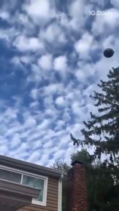 My new favorite gender reveal...