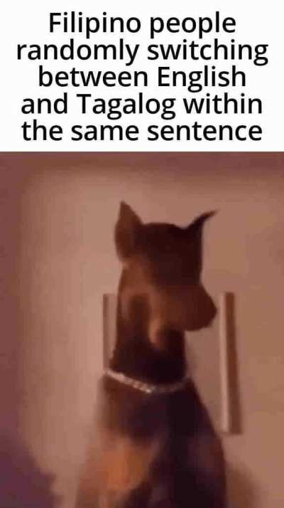 Why they do that?