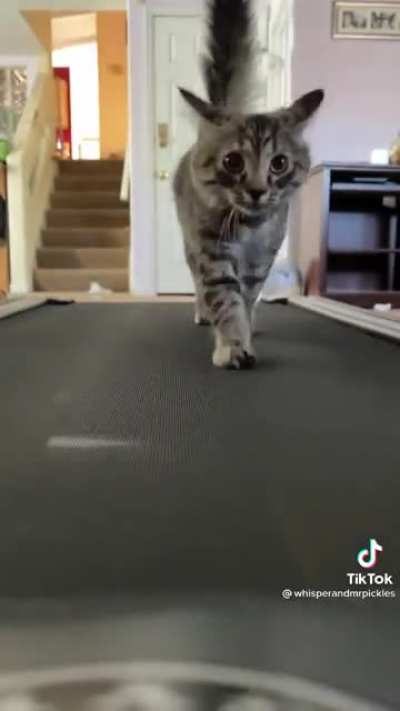 Slower!