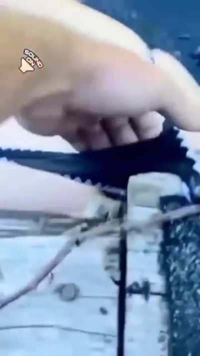 Качественные труселя