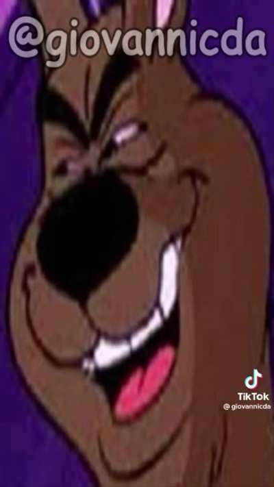 scooby sincero