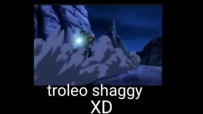 Troleo shaggy