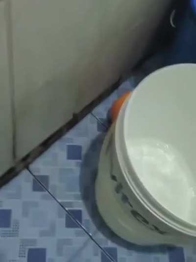 Even the cat noped out