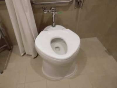 Touhou Toilets #18