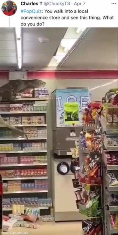 I’d panic.
