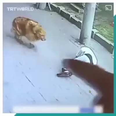 So why you were late for work this time?
