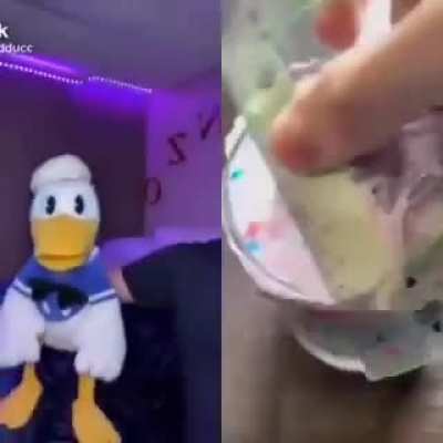 donald duck please stop earraping me