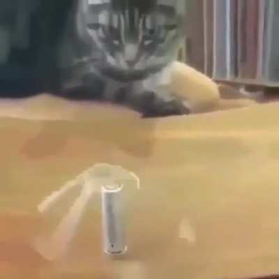 As leis da física