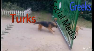 Греки и турки в интер<wbr>нете