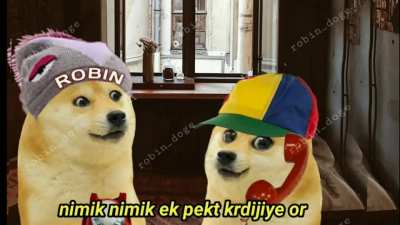CREDIT TO : ROBIN THE DOG