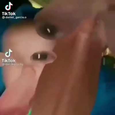Baby José José