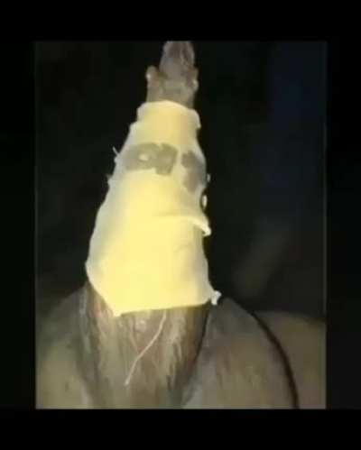 🐭