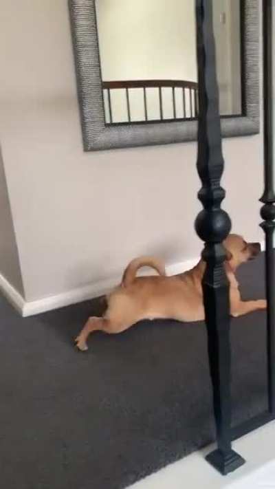 Look, I'm low to the ground, like you!