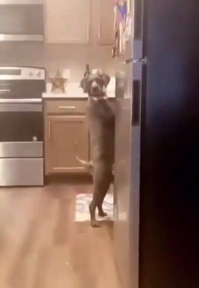 ‘Oh snap! I’m caught, just act normal!’