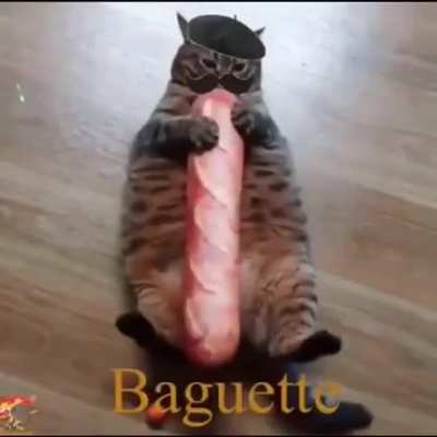 ð¥