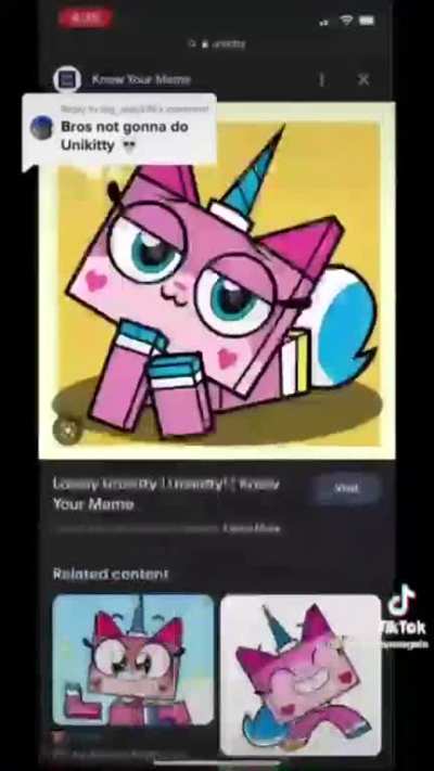 No, not the kitty
