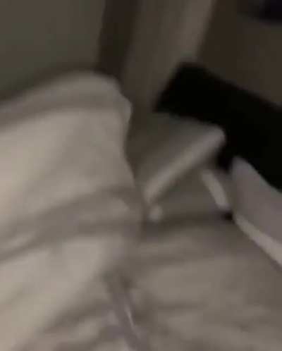 Meme