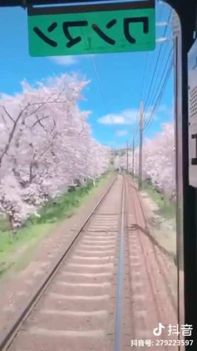 Train ride in Japan looks like a scene from Anime