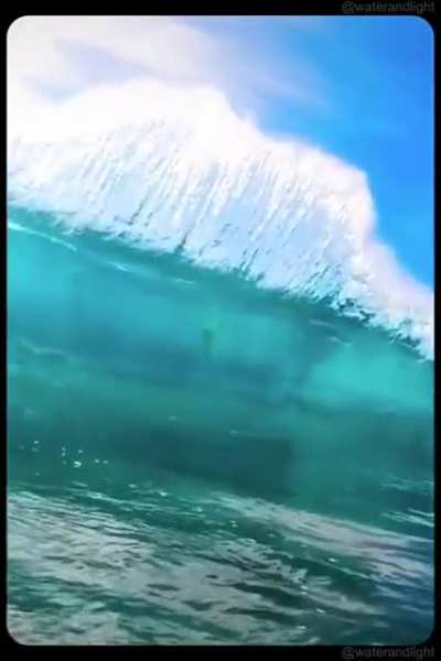 Surfs up!