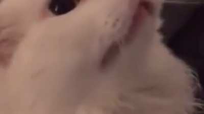 The origin but better (sorry for the bad quality)