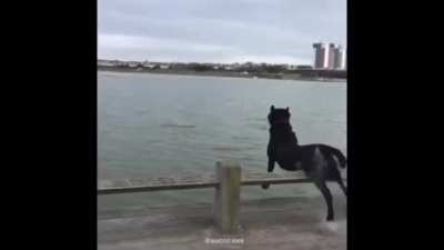 Meus amigos no quinto ano:porque tu não faz parkour? Eu fazendo parkour: