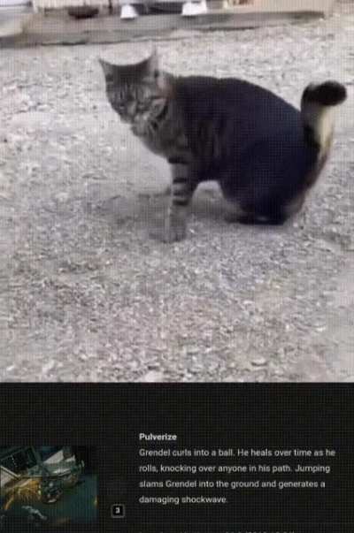 Cat definitely mains grendel