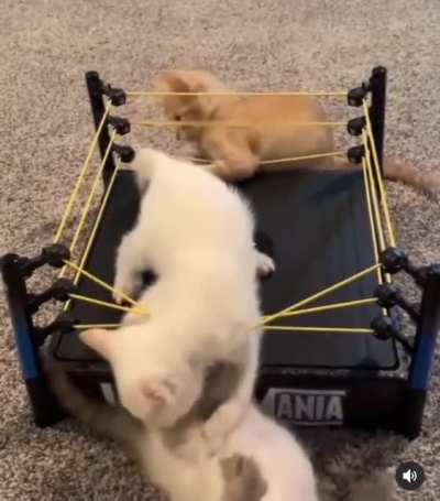 WrestleMania!