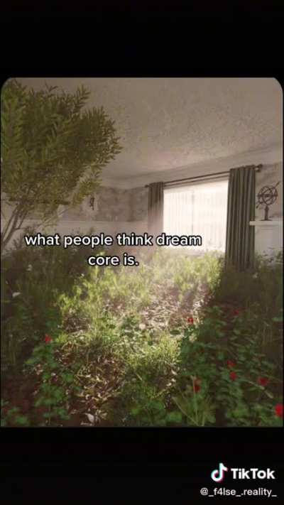 the true meaning of dreamcore