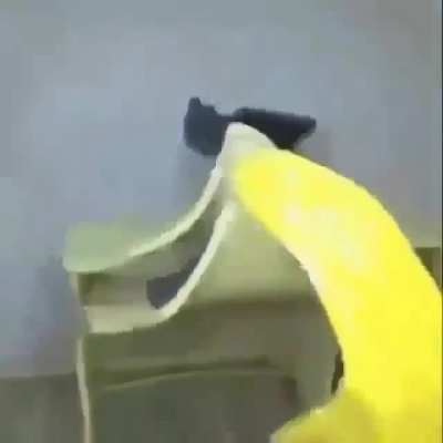 xd