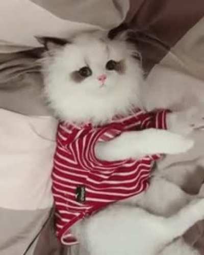 Везде обман