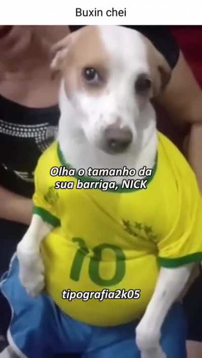 Barriguinha cheia 
