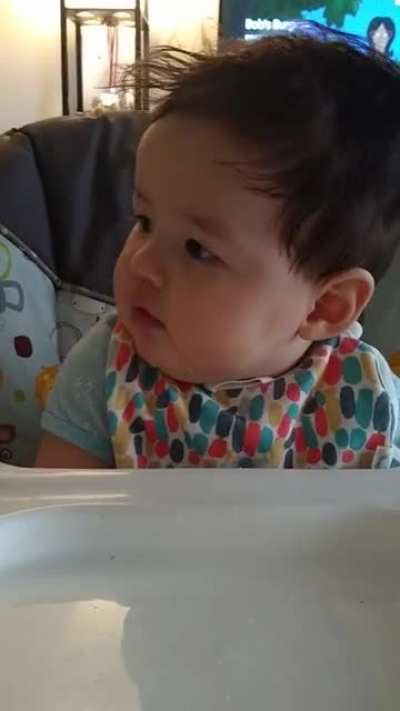 Trying to feed the offspring