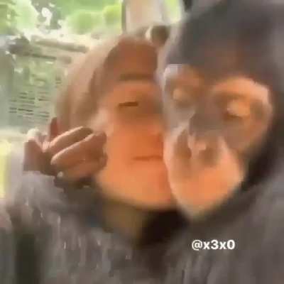 Monkey