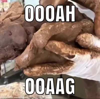 OAA OAAAHG CHOCOLATE MONKE