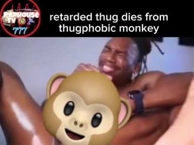 mokey