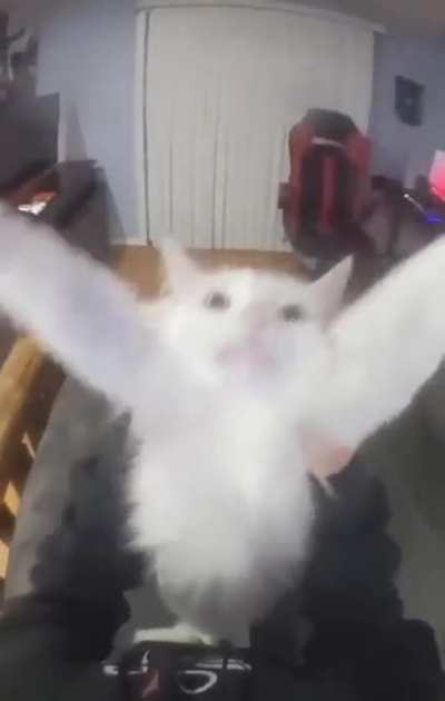 araund the wordl