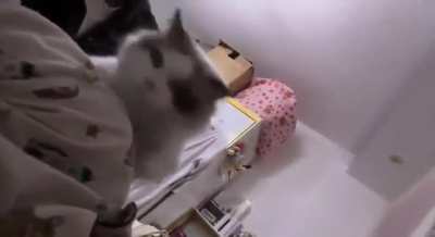 The best alarm clock to wake up to