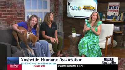 Today In Nashville. WSMV4 TV. April 28th 2026
