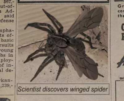 we are in danger