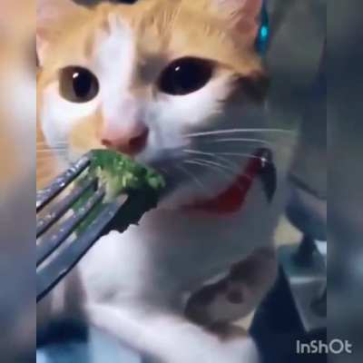 Oo-gawh!