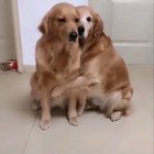 You can count on me